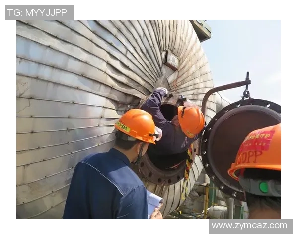 武汉篮球队奋斗历程的真实记录与精神传承