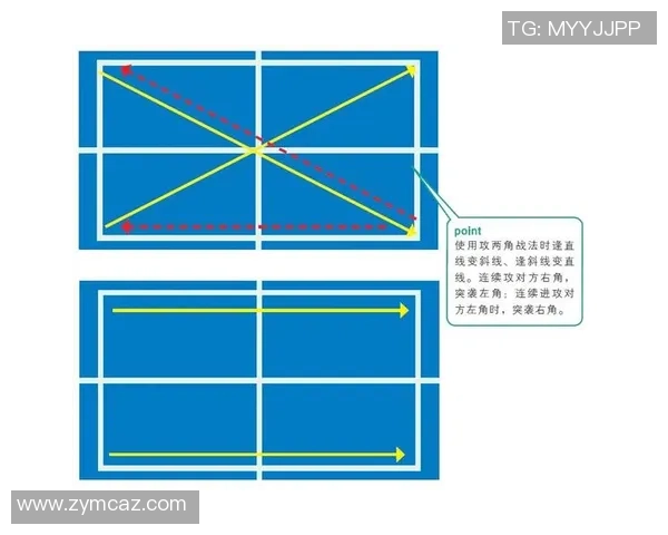 重庆乒乓球队战术揭秘:从训练到比赛的全方位解析与实战应用 重庆乒乓球队战术揭秘:从训练到比赛的全方位解析与实战应用