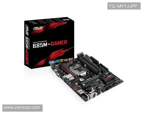 高校联赛分析:FPX在比赛中的耐力与策略表现全面解读 高校联赛分析:FPX在比赛中的耐力与策略表现全面解读