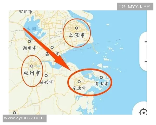 杭州排球队实力解析：从训练到比赛的全方位剖析与展望
